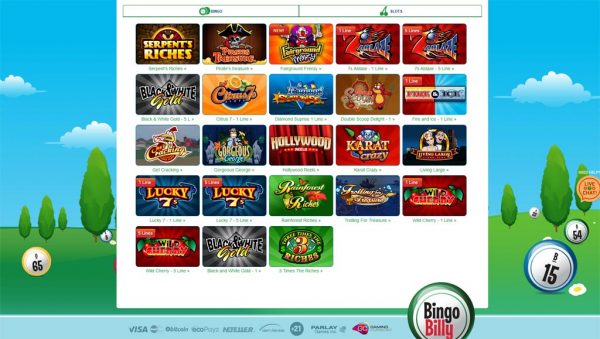 bingo billy video slots