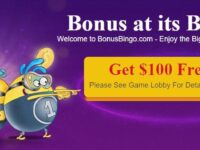 Play fun-filled bingo and slot games