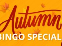 Enjoy an Amazing Bingo Session