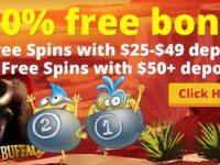 Free Bingo $100 No Deposit Offer