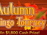 Play with Cyber Bingo every weekend