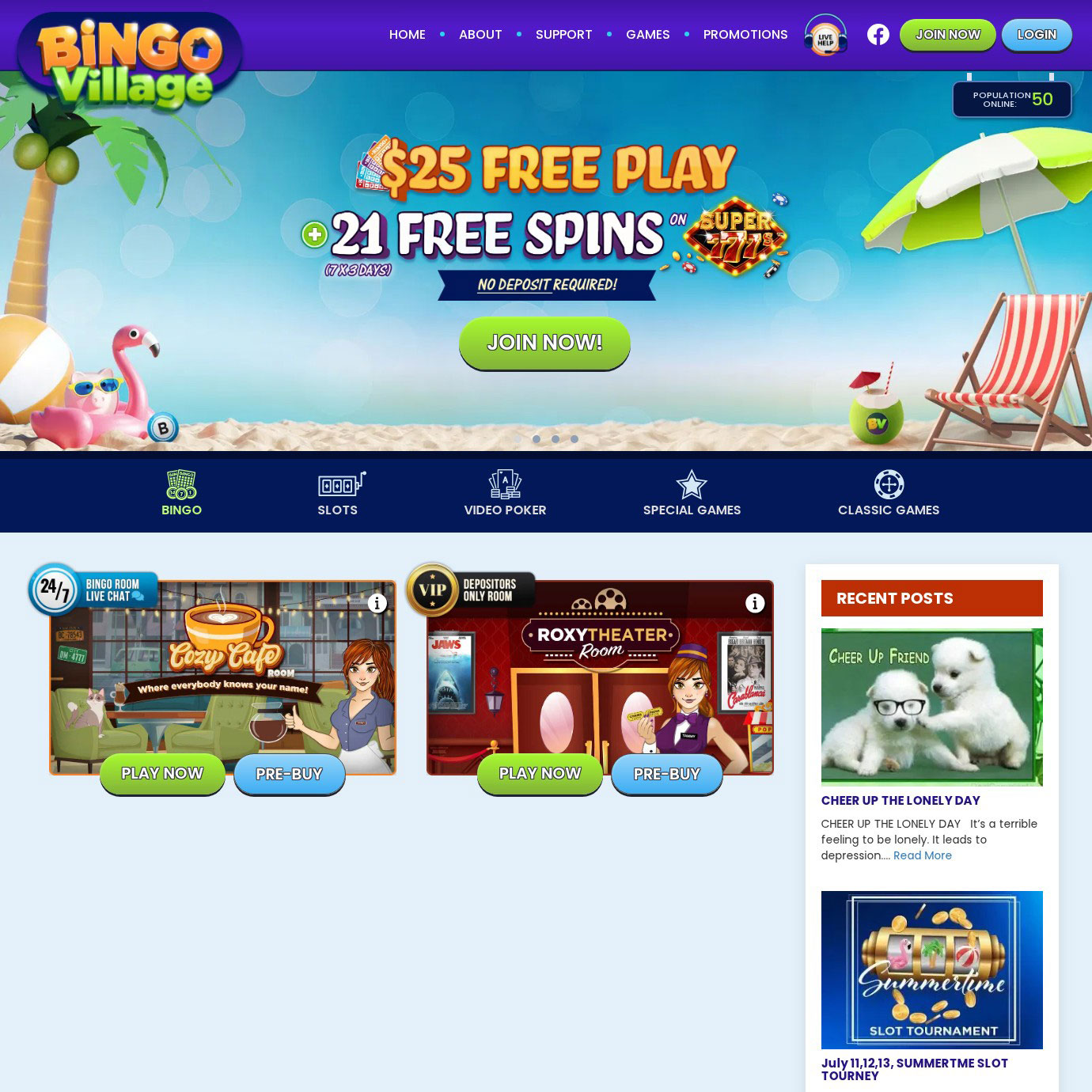 Game Variety at Bingo Village