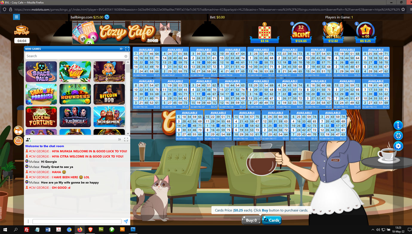 Bingo Village Games
