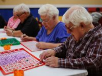 10 Factors in Online Bingo’s Huge Popularity