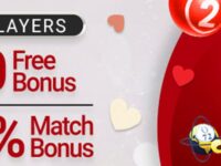 big Bingo Bonuses