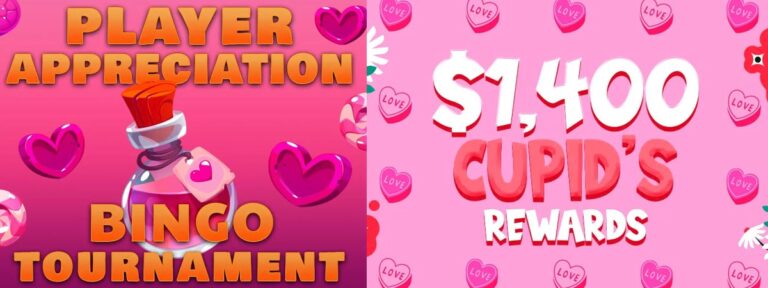 Bingo Village Player Appreciation