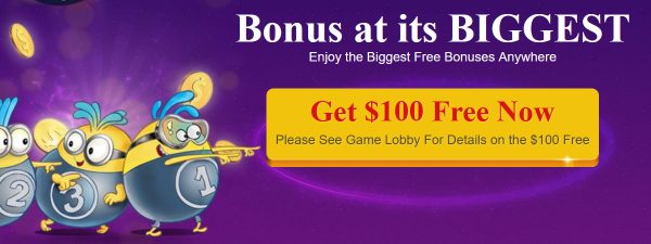 Bonus Bingo is unquestionably a great place to play bingo online