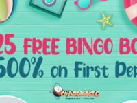 Cyber Bingo Offer