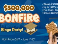 Bonfire Bingo Party