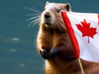 7 Best Online Bingo Sites in Canada