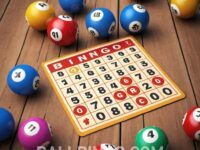 Bingo Affiliate Programs
