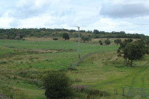 bingo halls in Lanarkshire