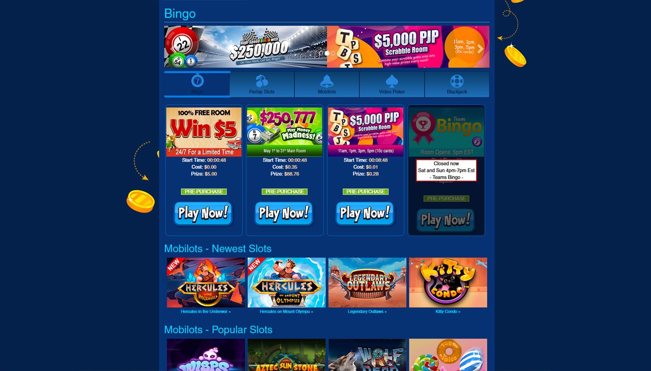 Playing at Bingo Website