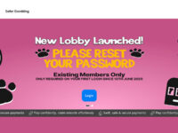 New UK Bingo Sites No Deposit