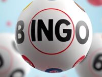Regulated Online Bingo Networks in the UK