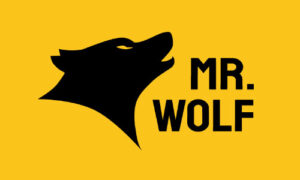 Mr Wolf Slots