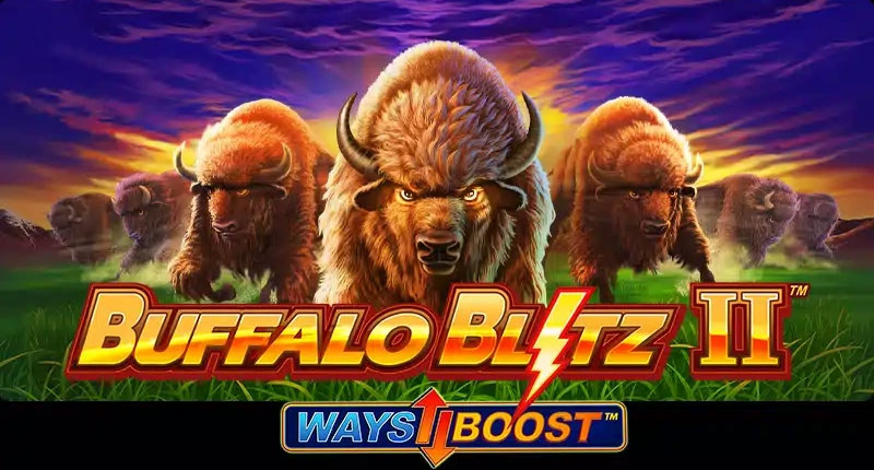 Buffalo Blitz II