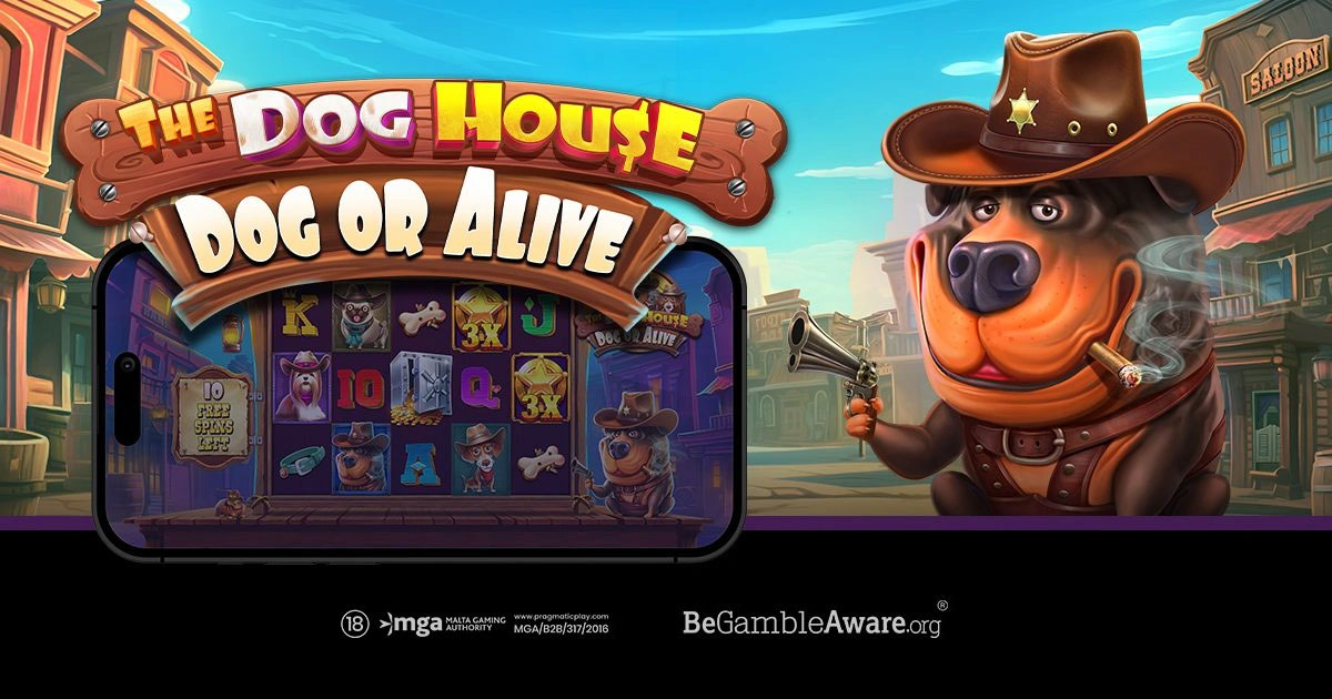 The Dog House - Dog or Alive