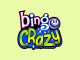 Bingo Crazy