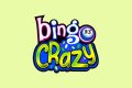 Bingo Crazy