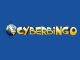Cyber Bingo