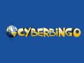 Cyber Bingo