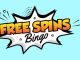 Free Spins Bingo Free Spins Bingo