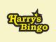 Harrys Bingo