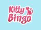 Kitty Bingo